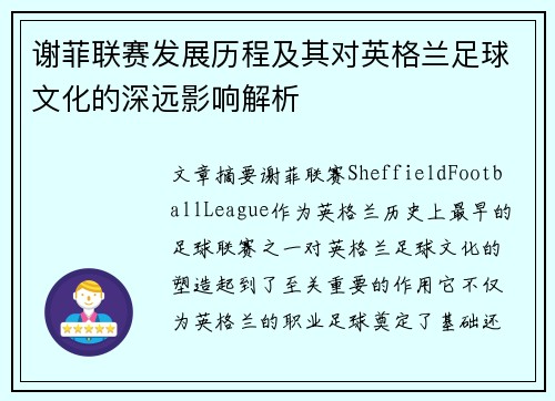 谢菲联赛发展历程及其对英格兰足球文化的深远影响解析