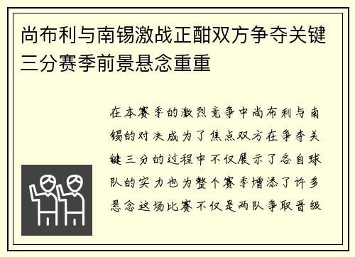 尚布利与南锡激战正酣双方争夺关键三分赛季前景悬念重重